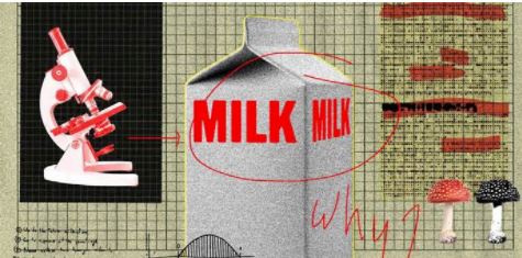 How Do You Know If You Have a Food Intolerance by Andrew Zaleski