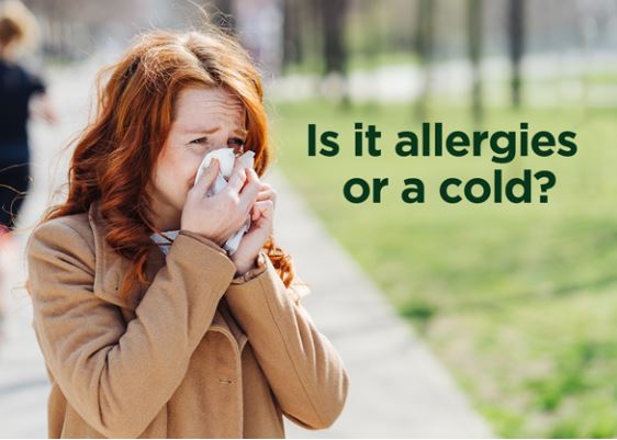 Sneezing and Sniffling: How to Tell If It's Allergies or a Cold by AAFA
