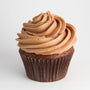 About Cupcakes