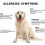 Dog Allergies by Yourdogadvisor.com