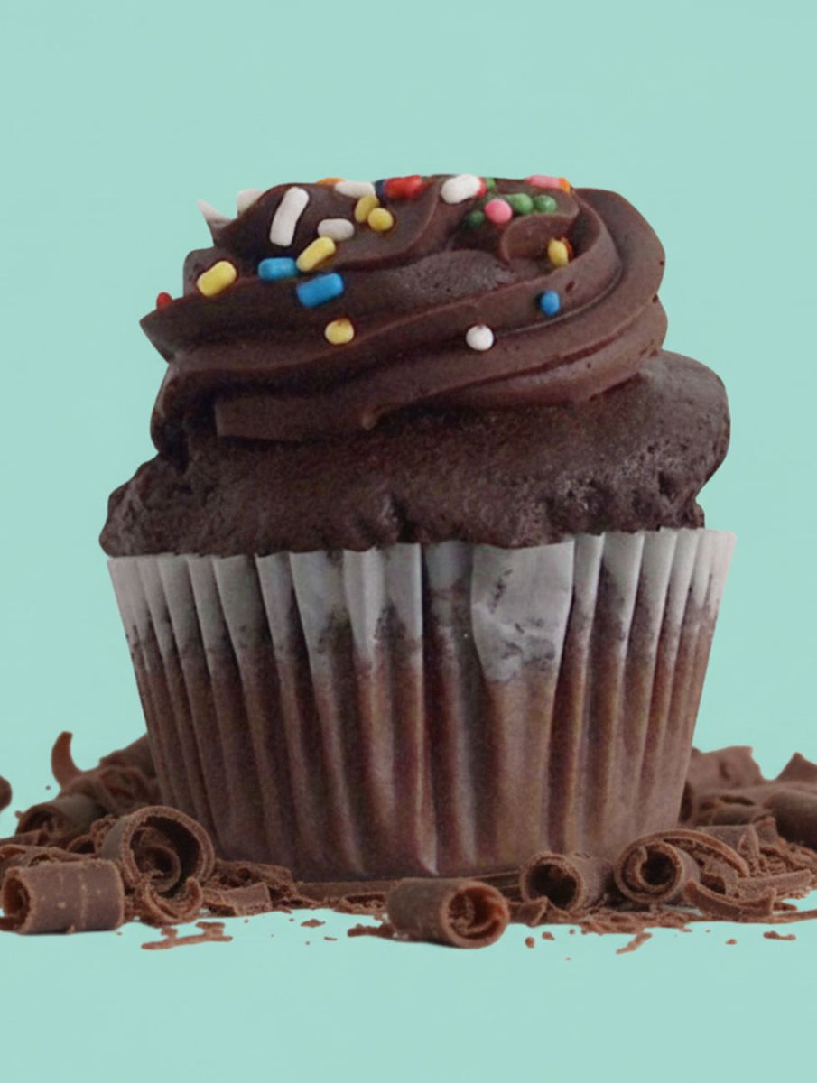 Chocolate Cupcake