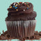 Chocolate Cupcake