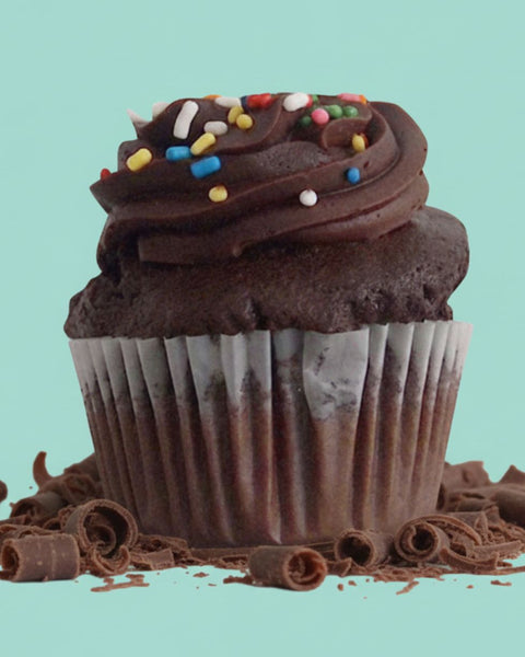 Chocolate Cupcake