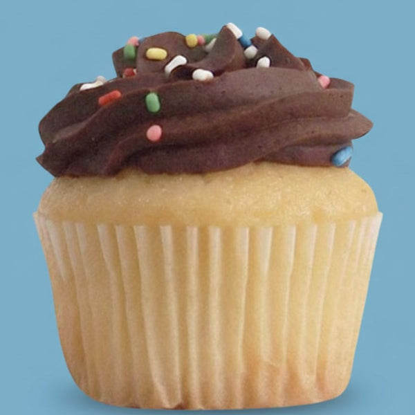 Vanilla/Chocolate Cupcake