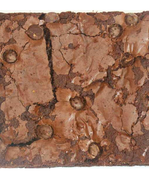 Chocolate Chip Brownie