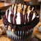 S'mores Cupcake